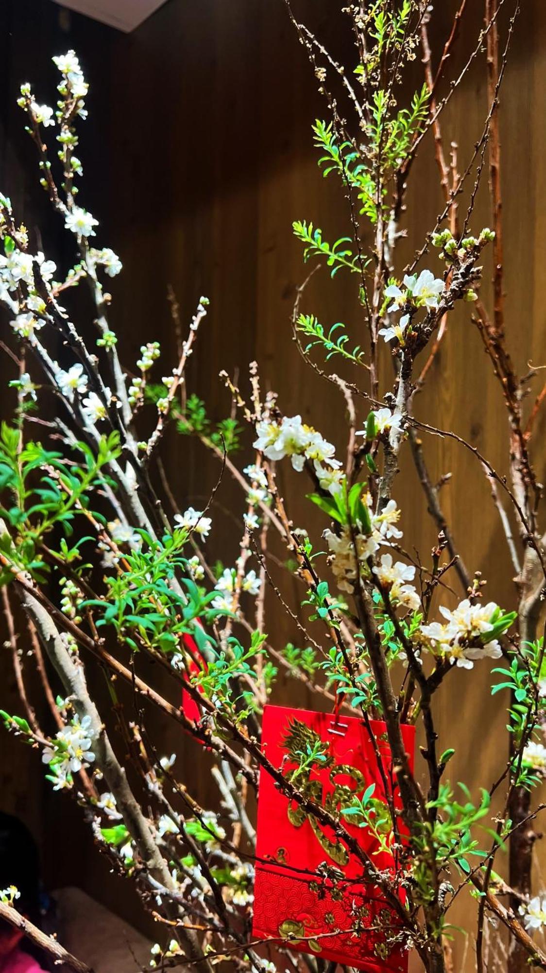 Rosa Zen Hotel Spa TP. Hồ Chí Minh Ngoại thất bức ảnh